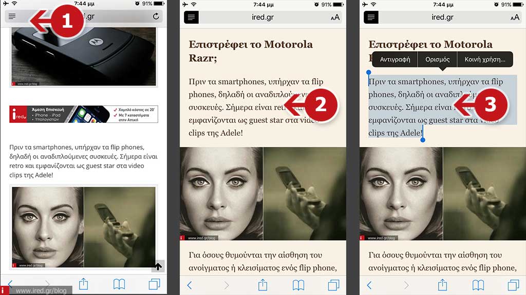 safari reader 01