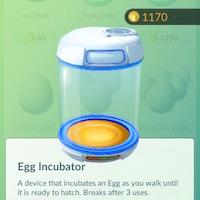 Egg Incubator