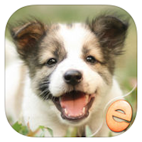 Jigsaw Wonder Puppies Puzzles