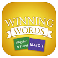 Singular and Plural Match